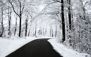 Превью обои дорога, асфальт, снег, поворот, лес, деревья