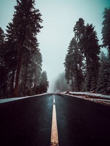 Превью обои дорога, асфальт, туман, деревья, разметка, небо