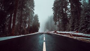 Превью обои дорога, асфальт, туман, деревья, разметка, небо