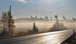 Превью обои дорога, асфальт, туман, утро, свежесть, блеск, деревья, провода