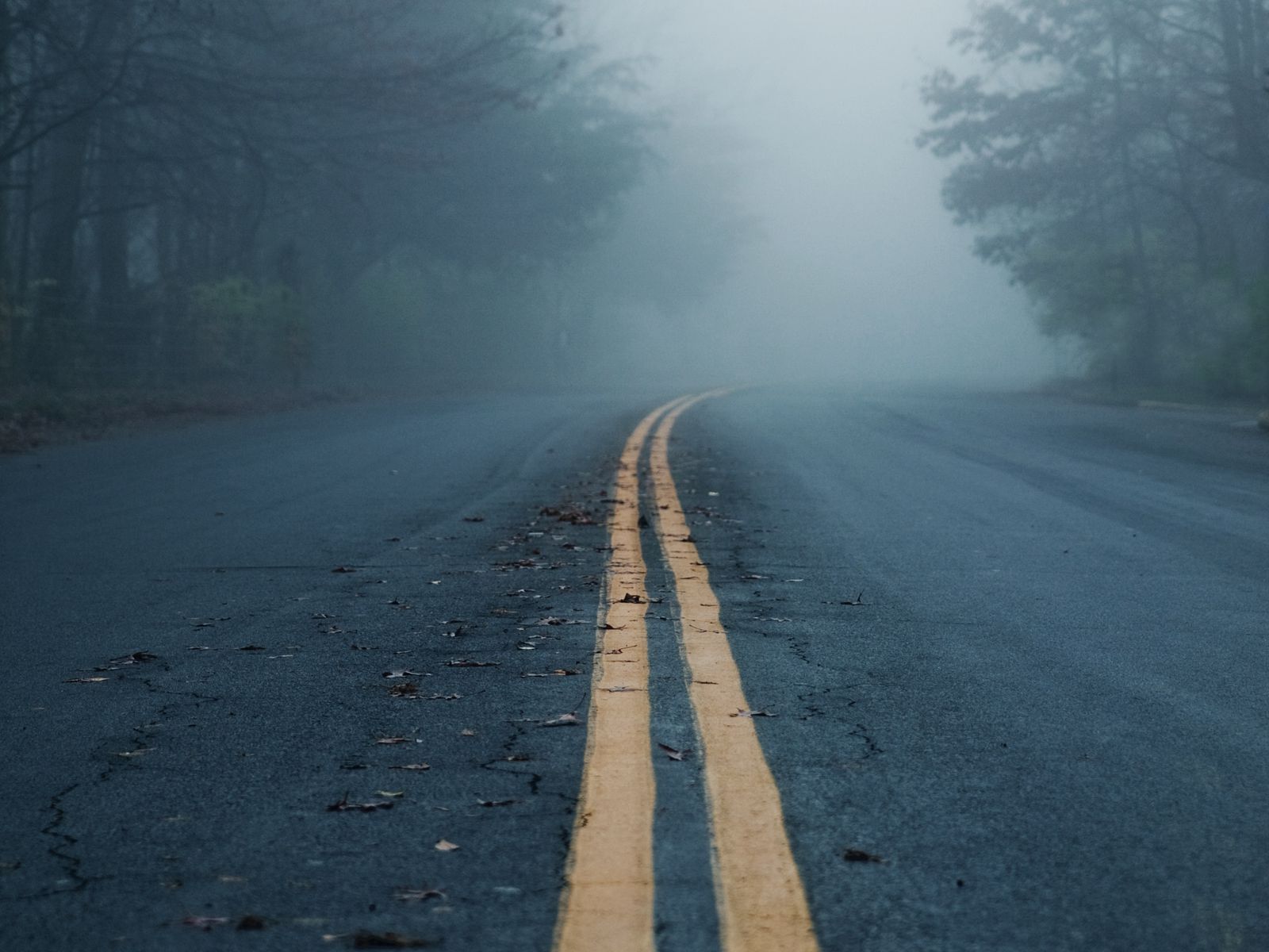 Россия в никуда. Красивые дороги. Дорога уходящая вдаль. Дорога в тумане. Одиночество дорога.