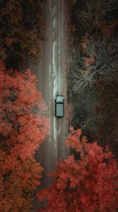 Превью обои дорога, автомобиль, деревья, вид сверху