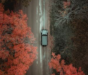 Превью обои дорога, автомобиль, деревья, вид сверху