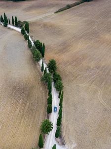 Превью обои дорога, автомобиль, деревья, поля