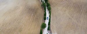 Превью обои дорога, автомобиль, деревья, поля