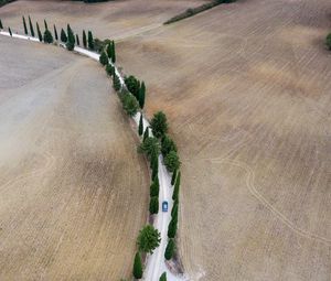 Превью обои дорога, автомобиль, деревья, поля
