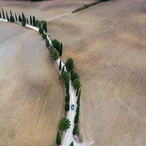 Превью обои дорога, автомобиль, деревья, поля