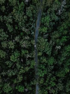 Превью обои дорога, автомобиль, лес, вид сверху