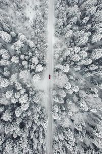 Превью обои дорога, автомобиль, лес, снег, вид сверху