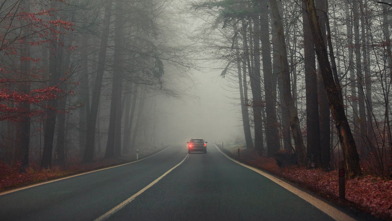 Обои дорога, автомобиль, туман, деревья