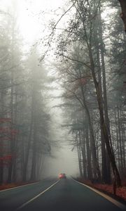 Превью обои дорога, автомобиль, туман, деревья