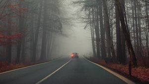 Превью обои дорога, автомобиль, туман, деревья