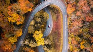 Превью обои дорога, автомобиль, вид сверху, деревья, осень