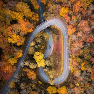 Превью обои дорога, автомобиль, вид сверху, деревья, осень