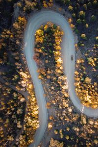 Превью обои дорога, автомобиль, вид сверху, деревья, поворот