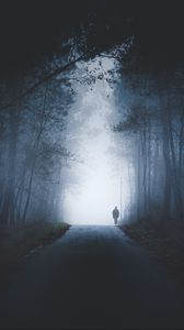 Превью обои дорога, человек, силуэт, туман, лес