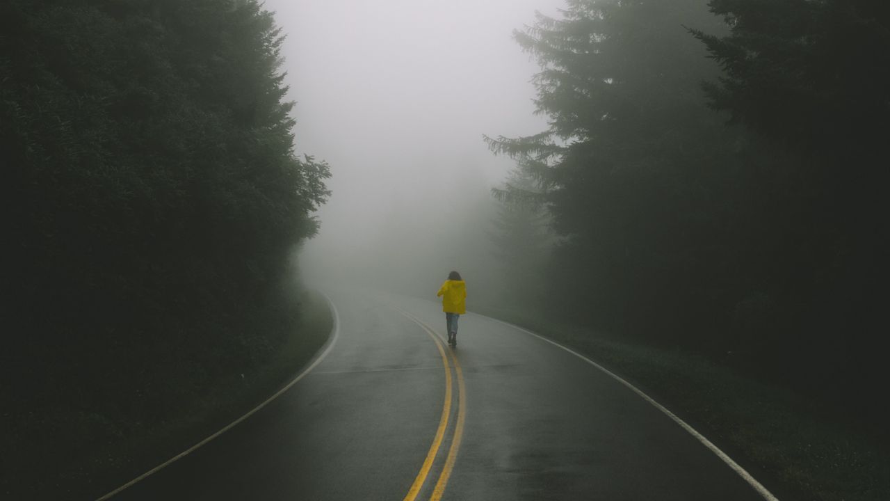 Обои дорога, человек, туман, одиночество, разметка, поворот