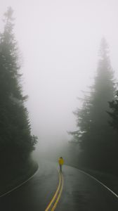 Превью обои дорога, человек, туман, одиночество, разметка, поворот