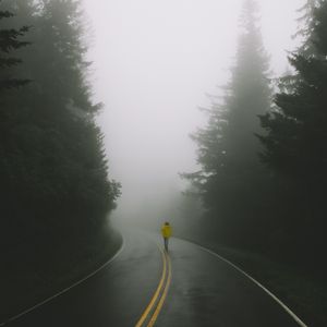 Превью обои дорога, человек, туман, одиночество, разметка, поворот