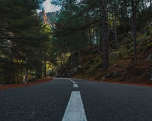 Превью обои дорога, даль, деревья, ель
