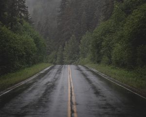 Превью обои дорога, даль, деревья, туман, ель