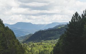 Превью обои дорога, даль, горы, деревья, разметка