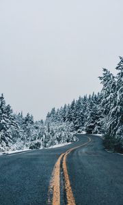 Превью обои дорога, даль, извилистый, деревья, снег, заснеженный