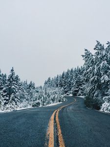 Превью обои дорога, даль, извилистый, деревья, снег, заснеженный