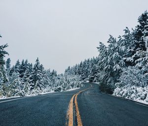 Превью обои дорога, даль, извилистый, деревья, снег, заснеженный