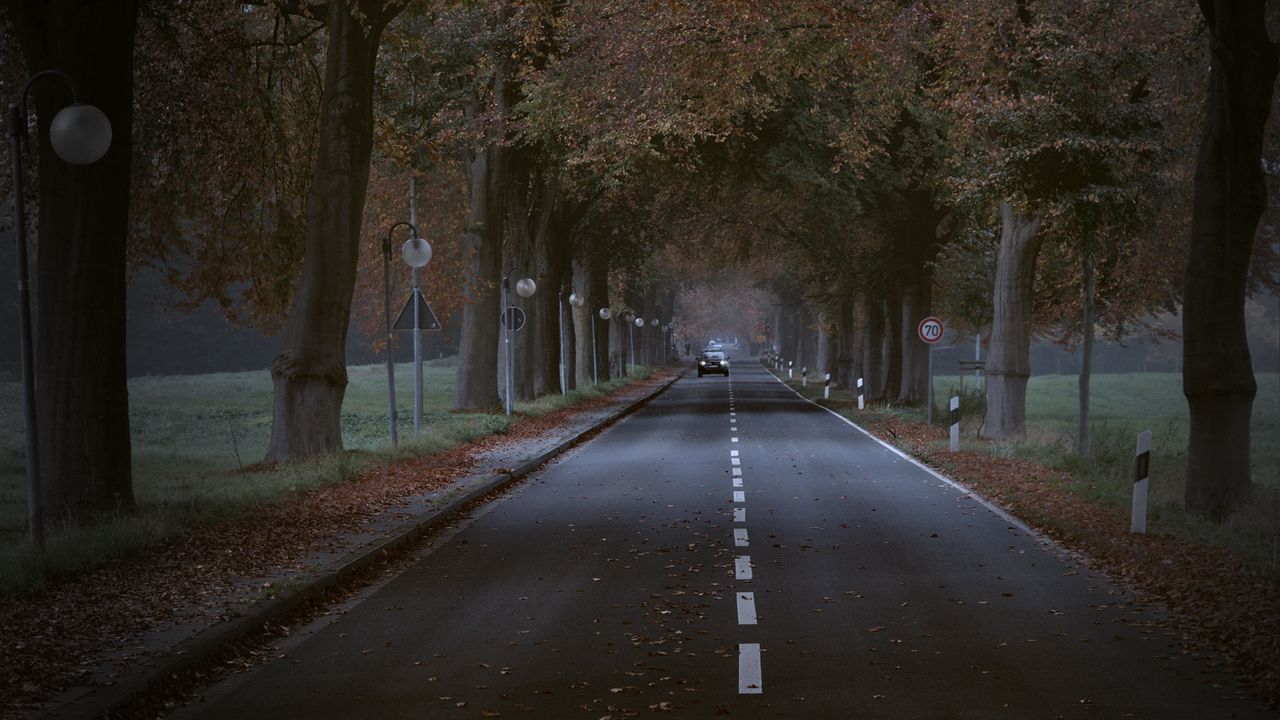 Обои дорога, деревья, аллея, автомобиль, осень