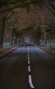 Превью обои дорога, деревья, аллея, автомобиль, осень