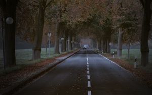Превью обои дорога, деревья, аллея, автомобиль, осень