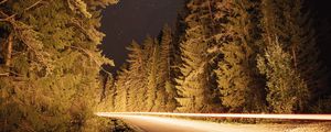 Превью обои дорога, деревья, длинная выдержка, ель