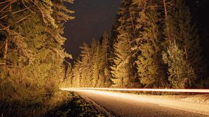 Превью обои дорога, деревья, длинная выдержка, ель