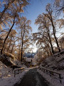 Превью обои дорога, деревья, дома, снег, зима