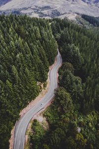 Превью обои дорога, деревья, движение, вид сверху