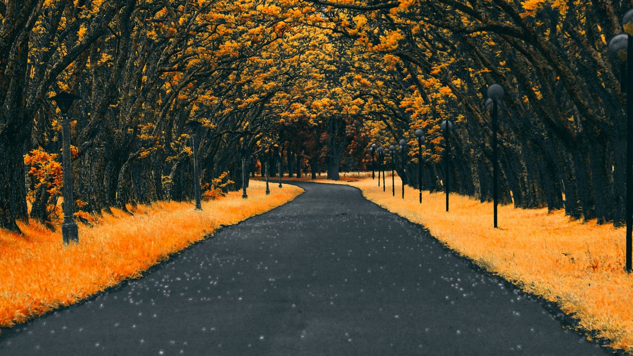 Обои дорога, деревья, фонари, листва, осень