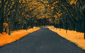 Превью обои дорога, деревья, фонари, листва, осень