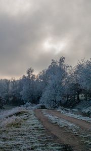 Превью обои дорога, деревья, иней, зима, мороз