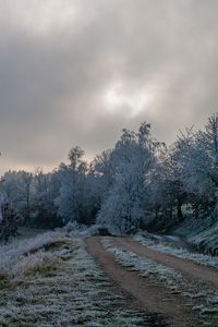 Превью обои дорога, деревья, иней, зима, мороз