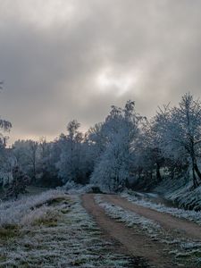 Превью обои дорога, деревья, иней, зима, мороз