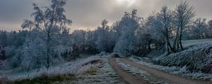 Превью обои дорога, деревья, иней, зима, мороз