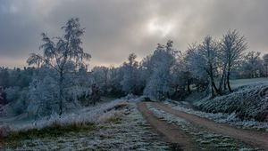 Превью обои дорога, деревья, иней, зима, мороз