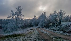 Превью обои дорога, деревья, иней, зима, мороз