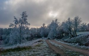 Превью обои дорога, деревья, иней, зима, мороз