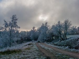 Превью обои дорога, деревья, иней, зима, мороз