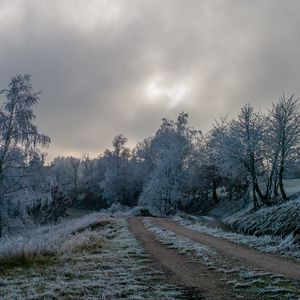 Превью обои дорога, деревья, иней, зима, мороз