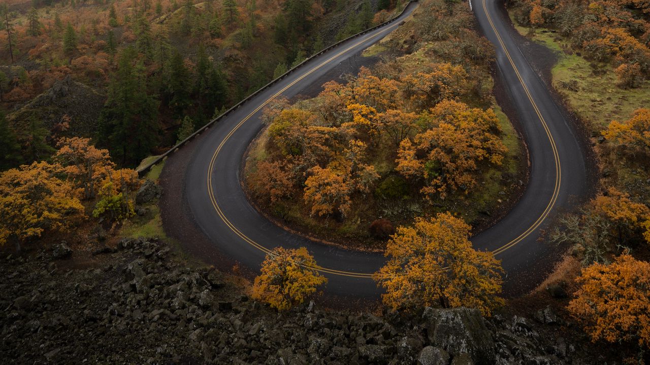 Обои дорога, деревья, изгиб, осень, природа