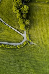 Превью обои дорога, деревья, извилистый, трава, вид сверху