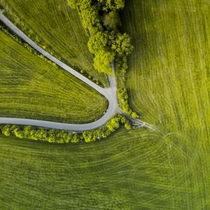 Превью обои дорога, деревья, извилистый, трава, вид сверху